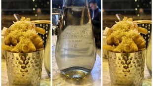 Sake and truffle fries